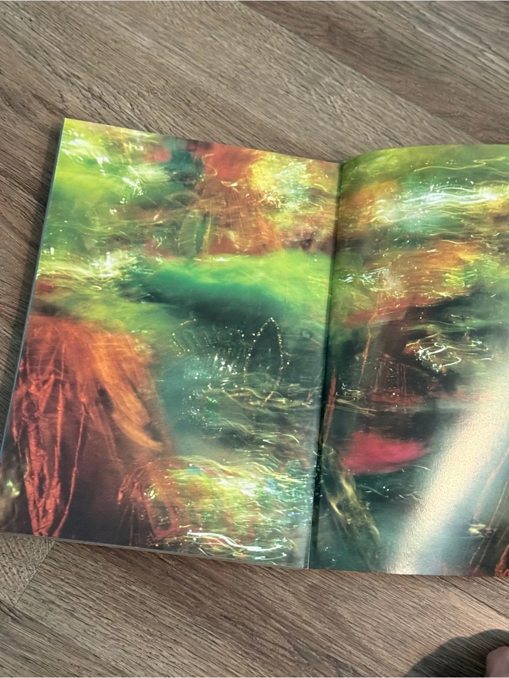 Mario Testino Any Objections? Photography Art Book Phaidon 1998